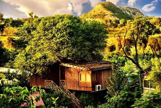 The Tree House Resort