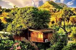 The Tree House Resort, Jaipur- A Club Mahindra Associate, Jaipur