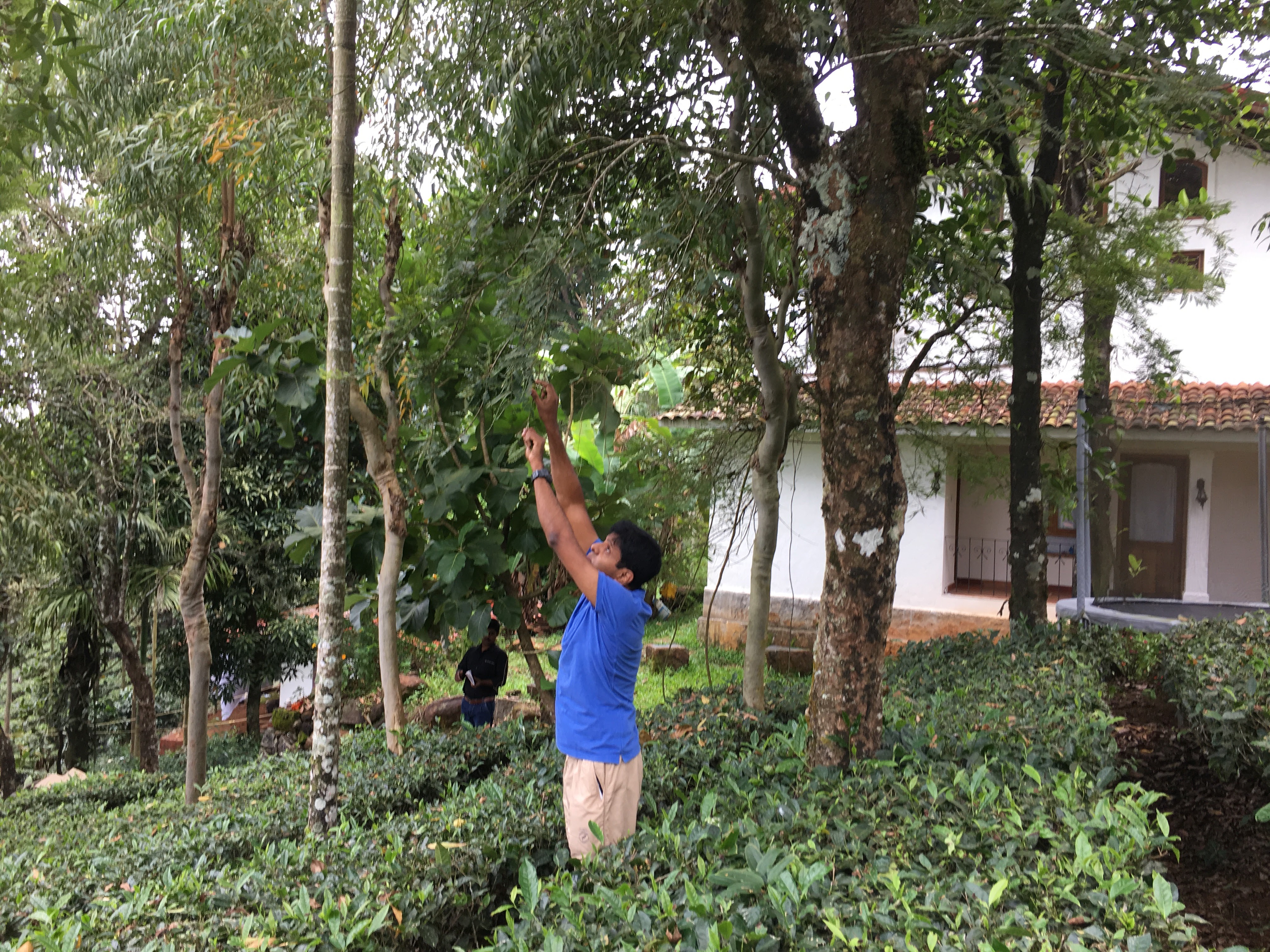 Tea Terrace Vythiri Wayanad Inr 688 Off 6 4 0 0 Price