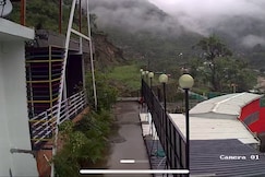 Petals premium, Dehradun