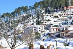 Nature's Treat Resort, Kausani