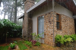 Hidden Pod, Munnar