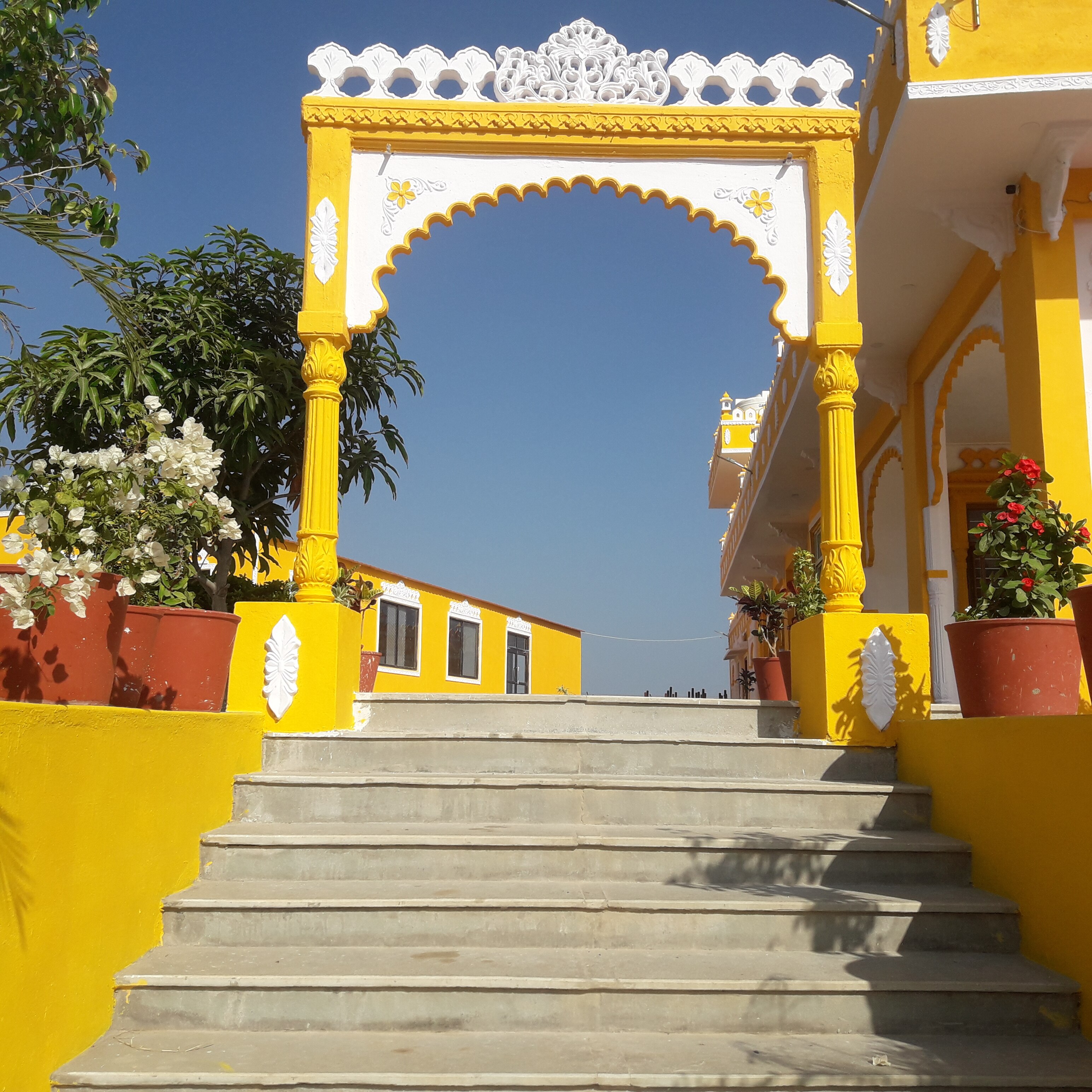 Dashama The Jk Jungle Resort Resort Udaipur Jk Resort Udaipur Resort Youtube