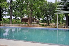 Dandeli Aura