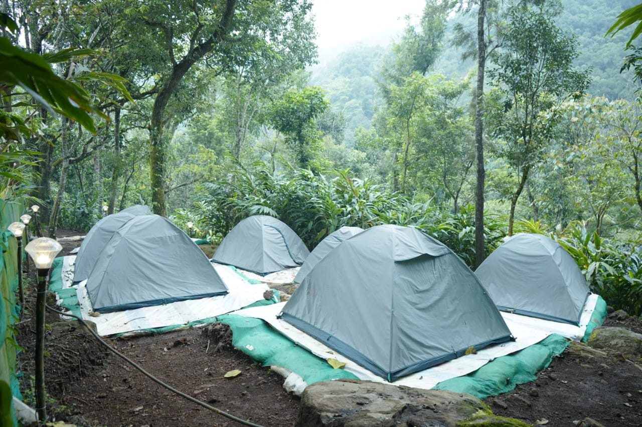 Hidden valley camping - Tap to explore photos