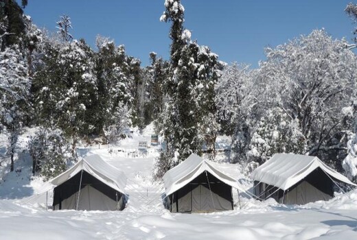 Camping at Natures Nest