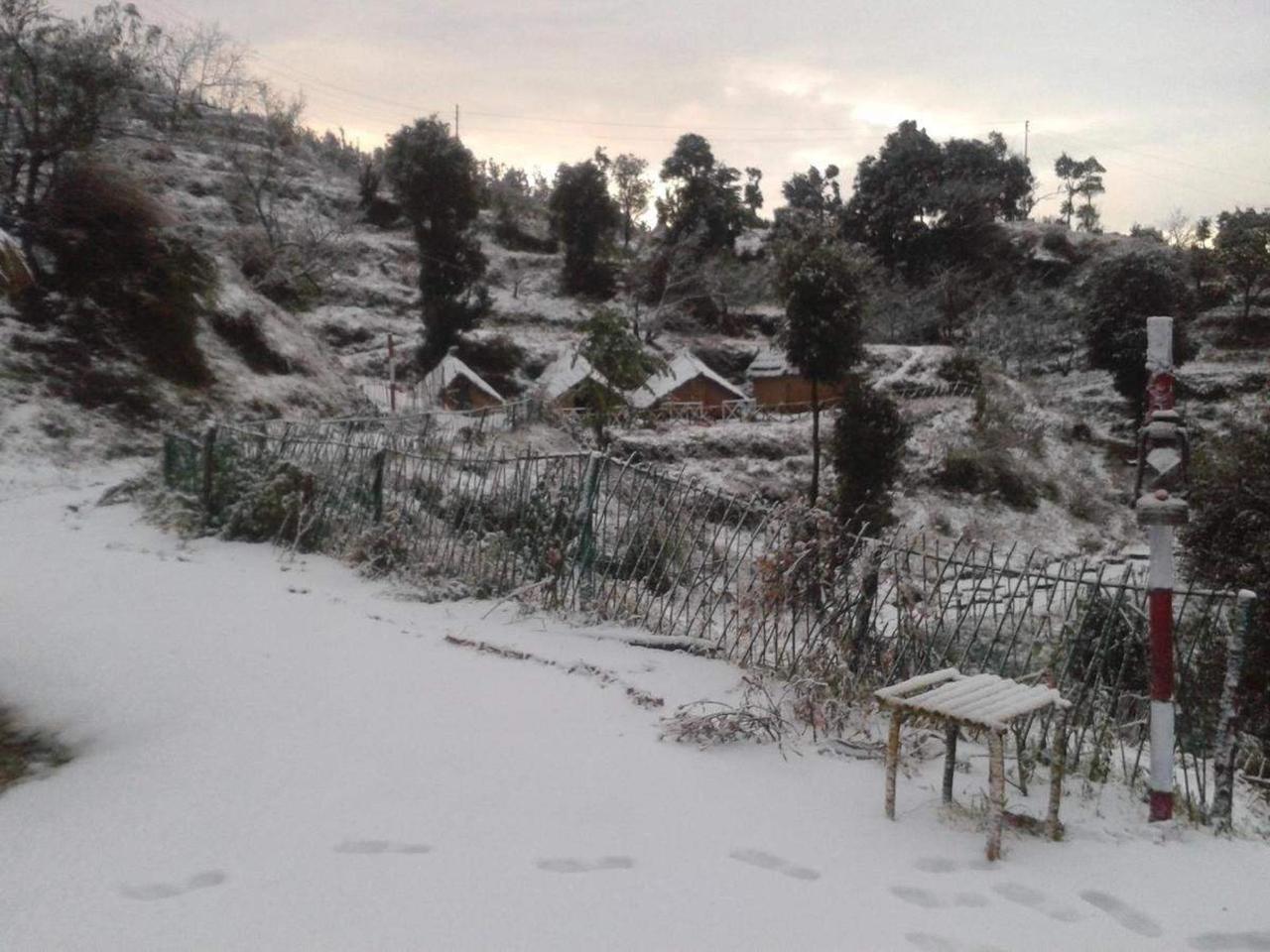 High Mountain Trekking Camp Nainital - Tap to explore photos