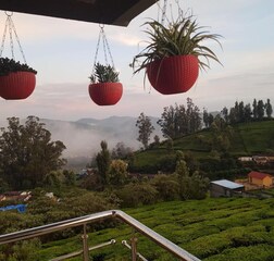 Mountain View room