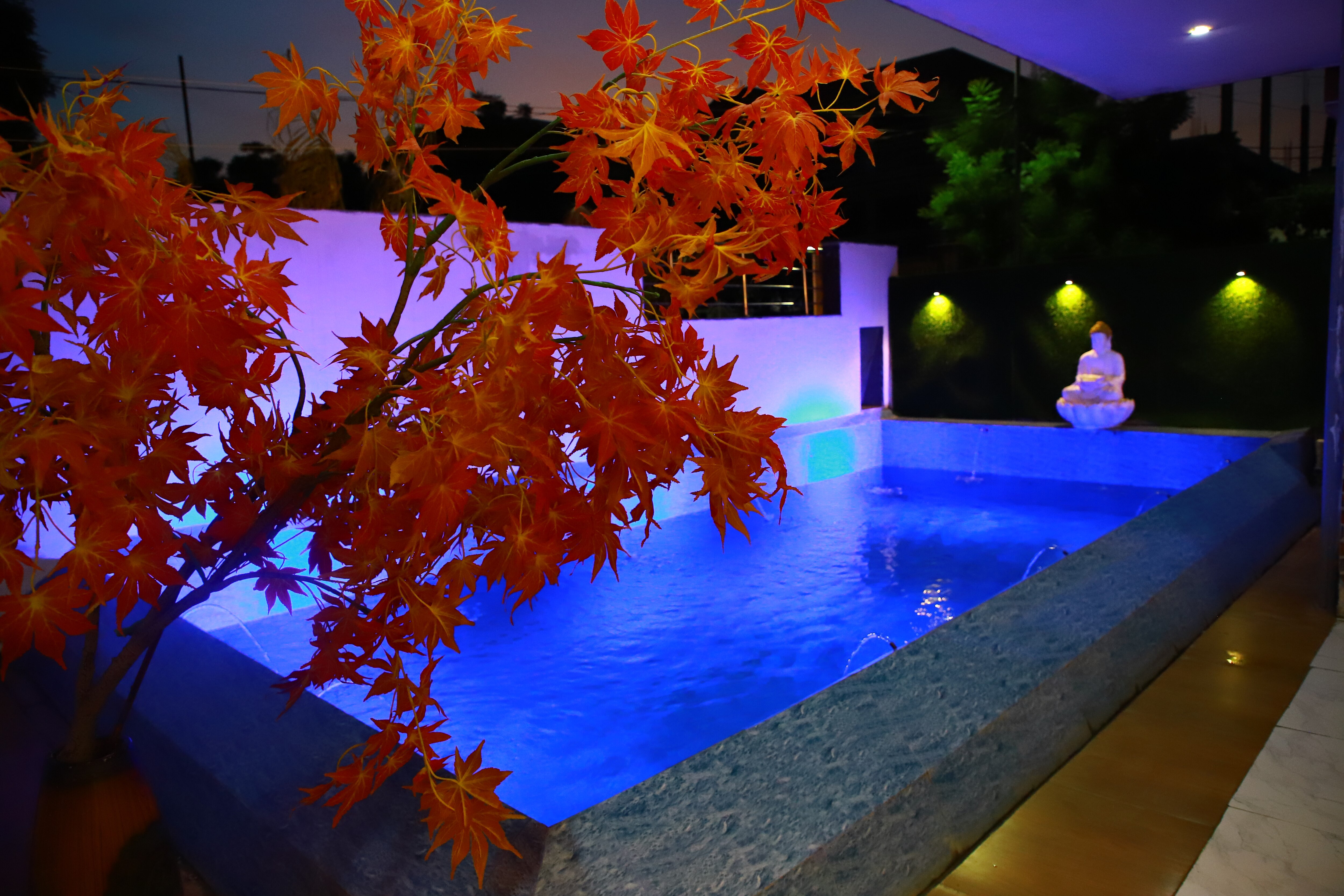 Paris County - En-Suite & Resort - Tap to explore photos