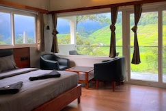 Forestscape Munnar, Munnar