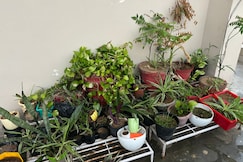 Green Bacchus Stays| Private room with kitchen, Gurgaon