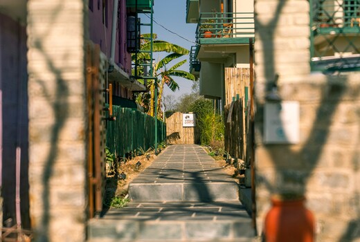 The Jungalow