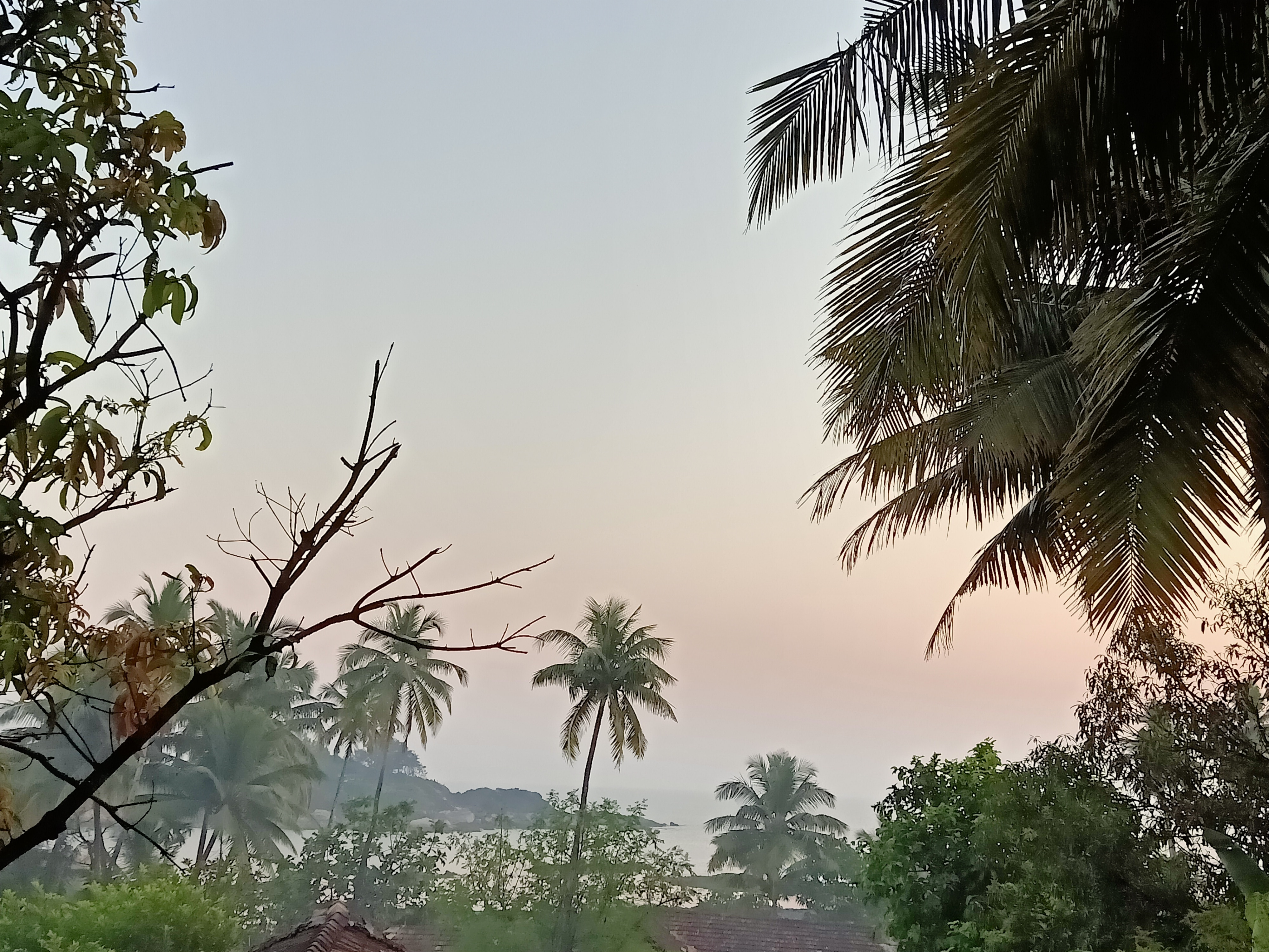 Shiv Sai huts - Tap to explore photos
