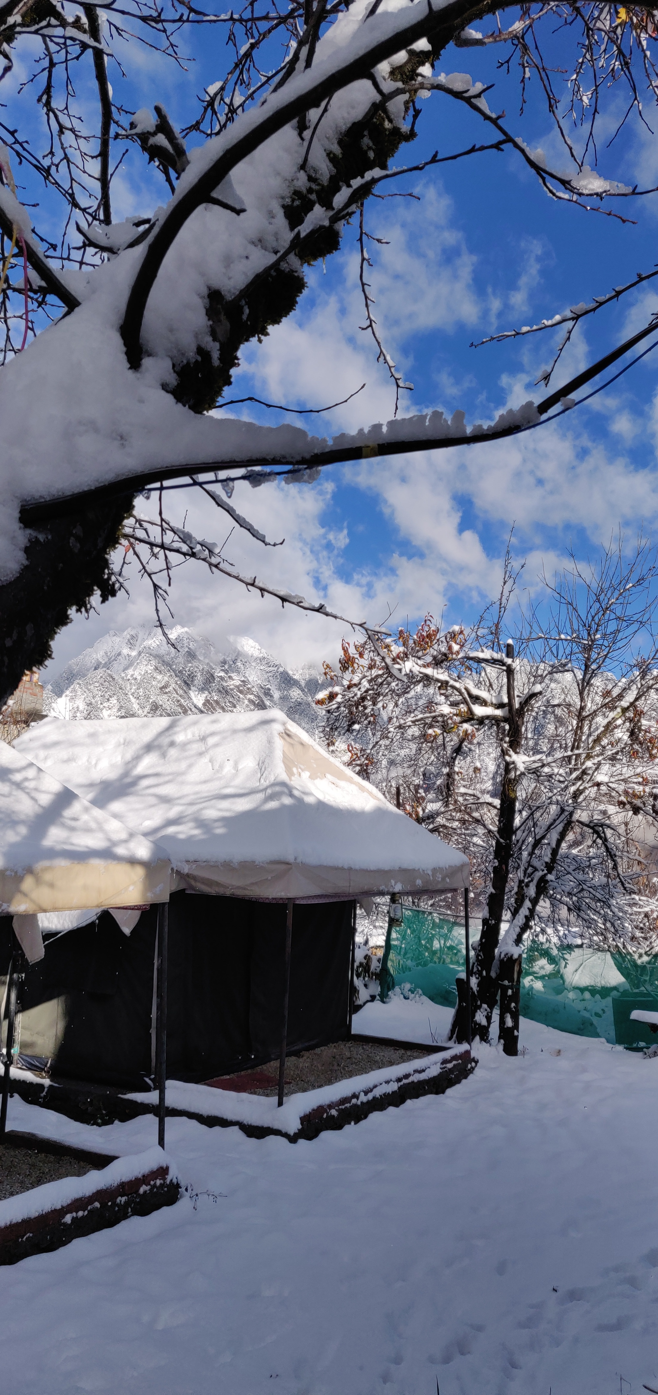 Auli - Swiss Camp - Tap to explore photos