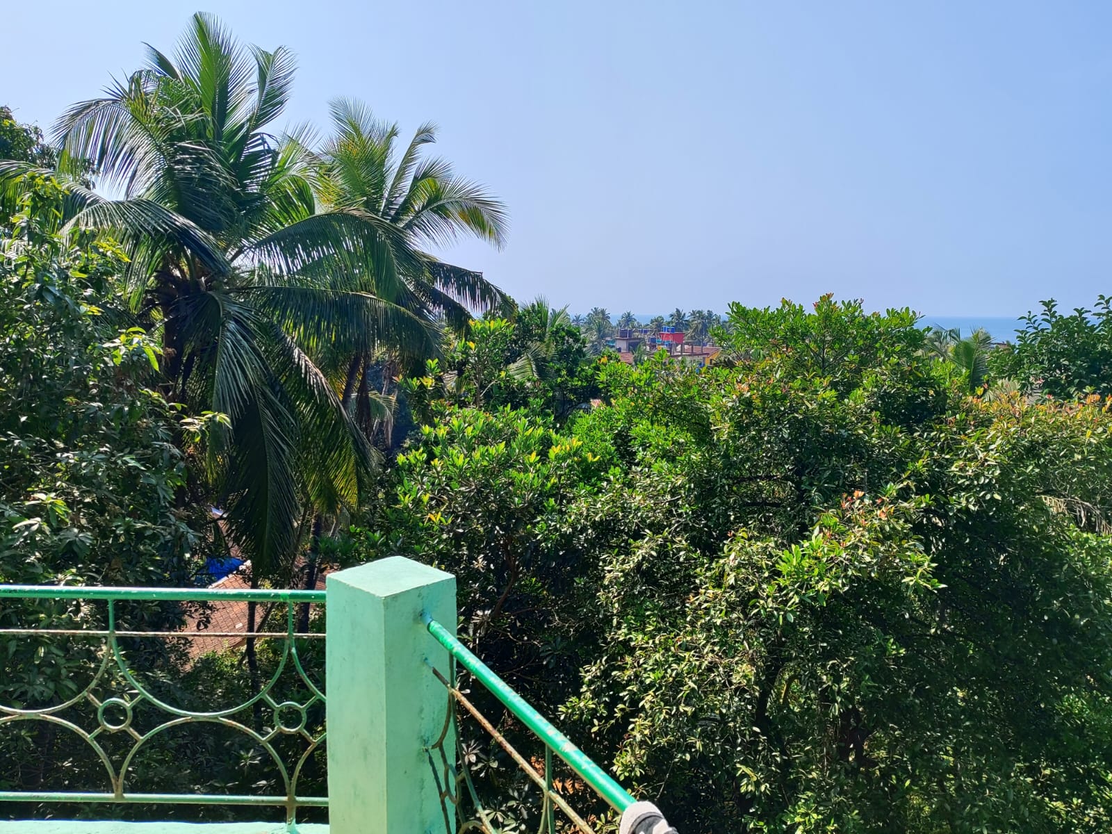 Jomo Hostel Cafe and Bar in Arambol - Tap to explore photos