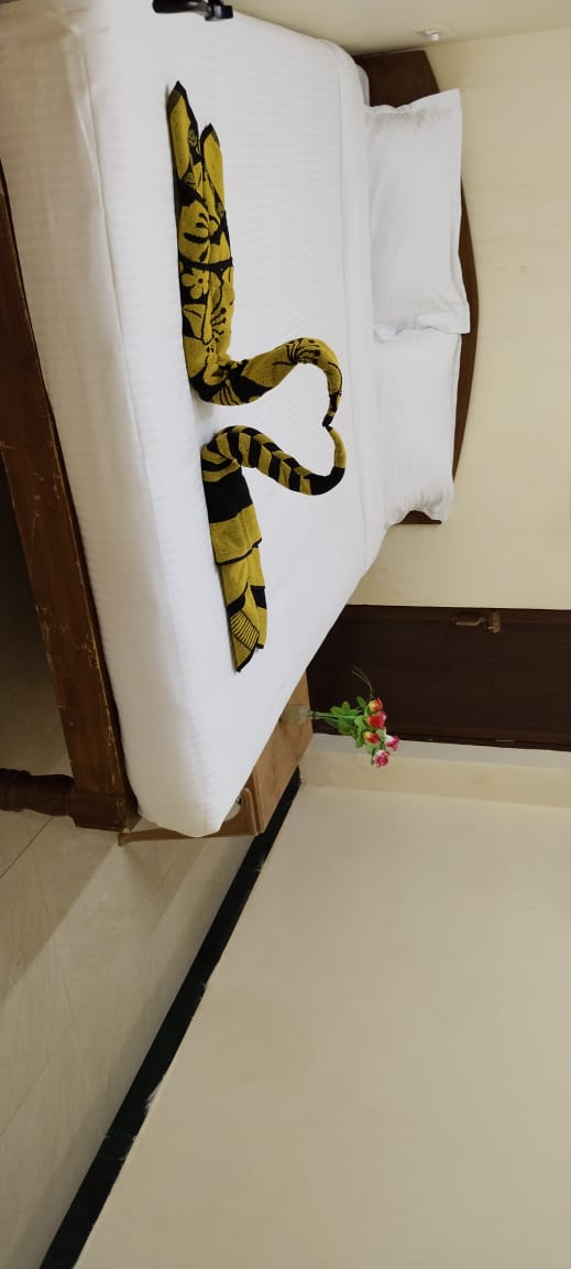 Paradise Rusty Rabbit Travellers Dorms and Rooms - Tap to explore photos