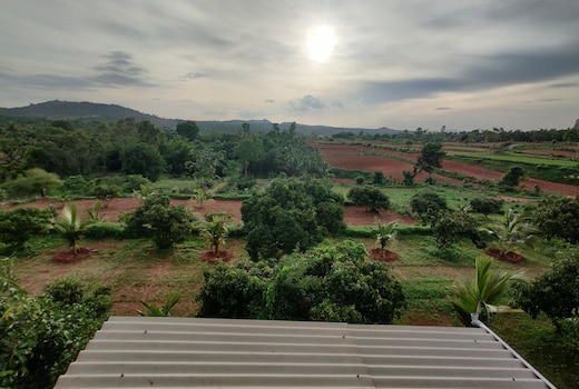 Rabbit Hill Farm stay