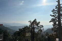 3bhk luxury homestay, Shimla