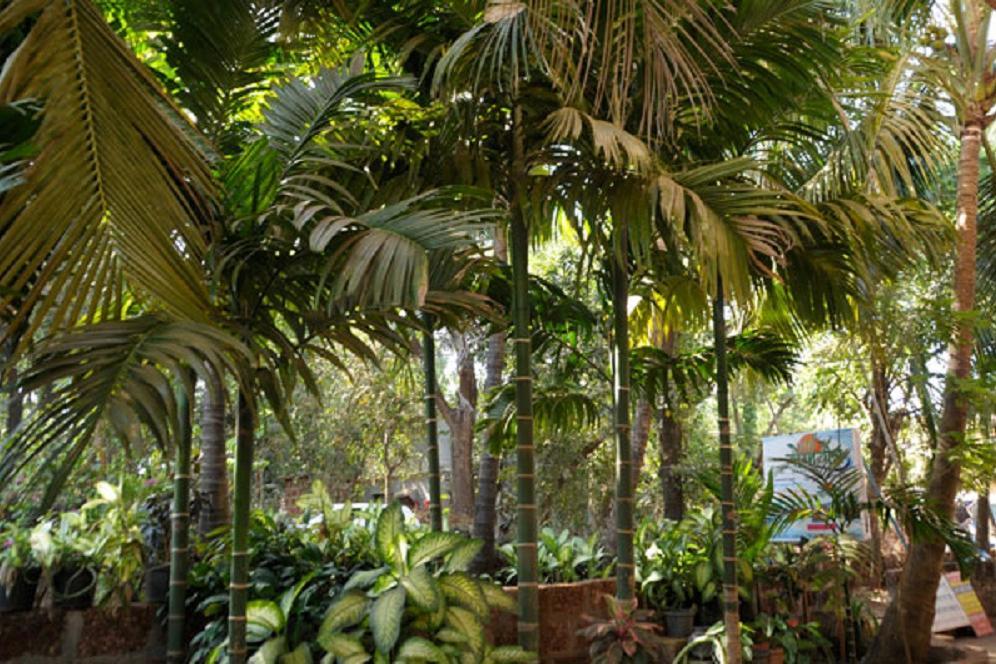 Yogayog Homestay - Tap to explore photos