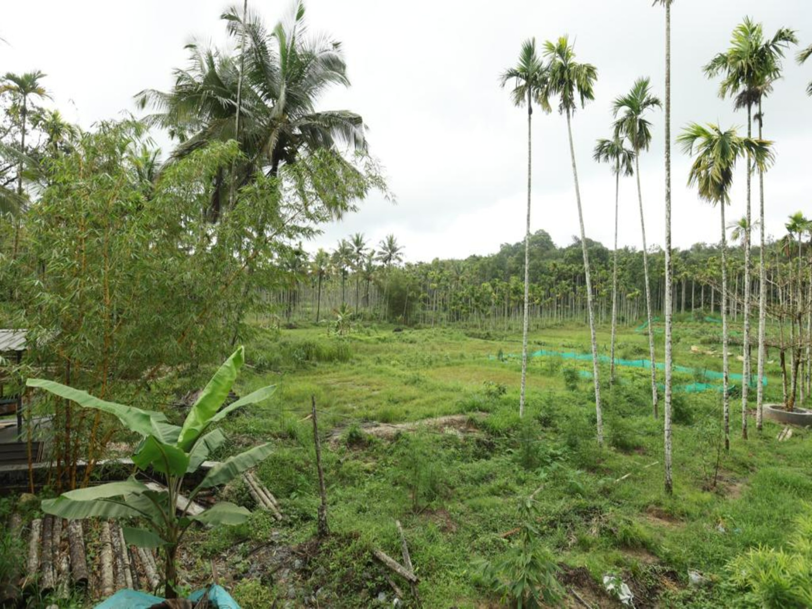 Vadakkans Residency - Tap to explore photos