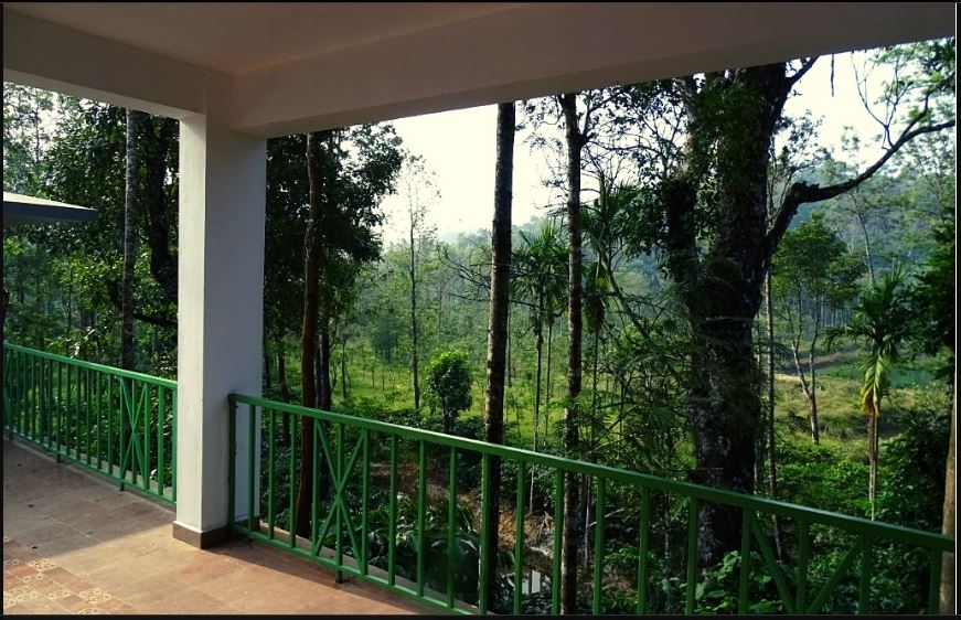 Spring Dale Coorg - Tap to explore photos