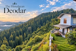 The Himalayan Deodar, Kanatal