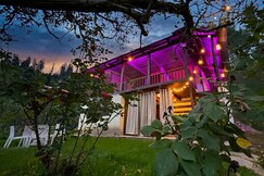The hidden Abyss Cottage, Kullu