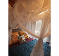 Premium Tree house
