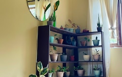 Living Room 1