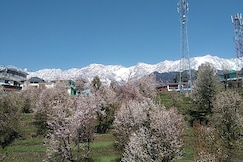 TranquilTrails Home Stay Naddi, Dharamshala