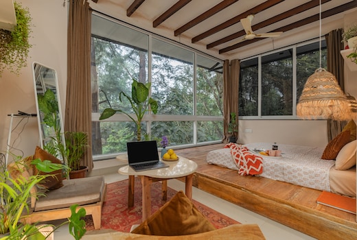 Pine at The Pause Project