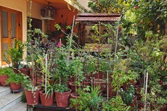 Green Home Stay 1, Vadodara