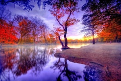 Teat rbr porting 1 oct 1, Birpur