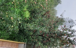 Outdoors