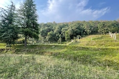 Himalayan Valley Homestead, Palampur