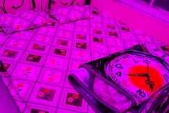 Sweet Home 2BHK Apartment, Kolkata