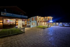 HOTEL SONAMARG PALACE, Sonmarg
