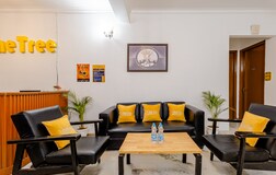 Living Room 1