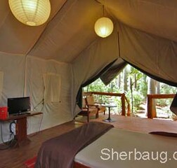 Chalet Tent ( With Complimentary water Park )