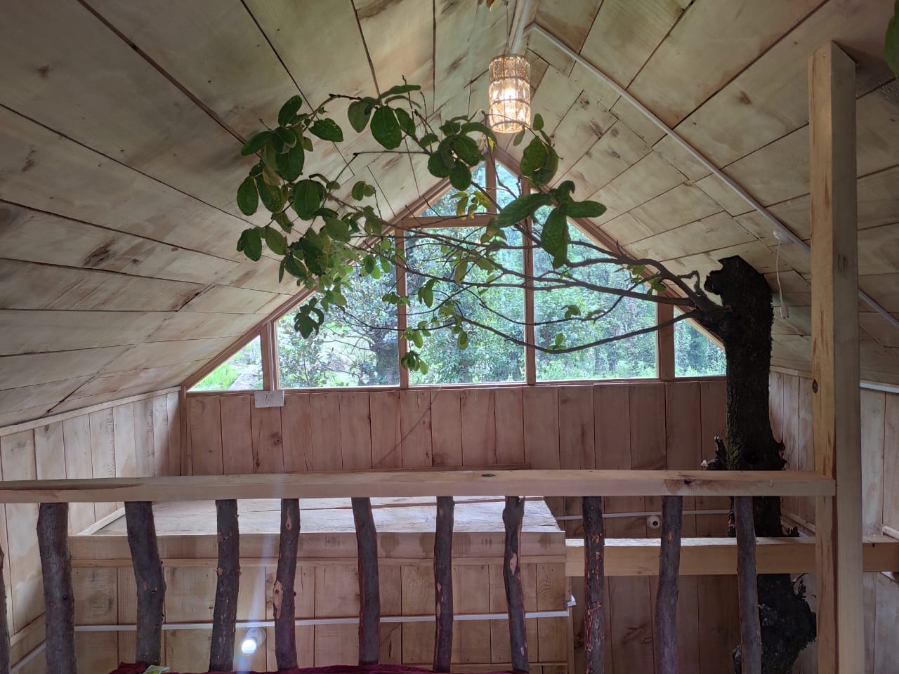 Tirthan Oakland Tree House - Tap to explore photos