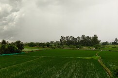Crazzy Home Stay, Mohali
