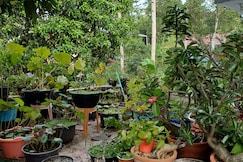 THANALHOMESTAY, Varkala