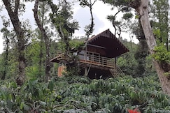 Kambalakaad Holiday Home Treetop Wooden Villa Stay, Mudigere