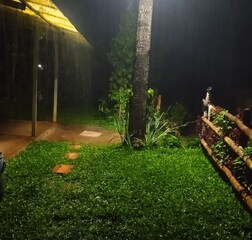 Living Room 1