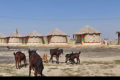 Rann Roshni | Bhuj, Bhuj