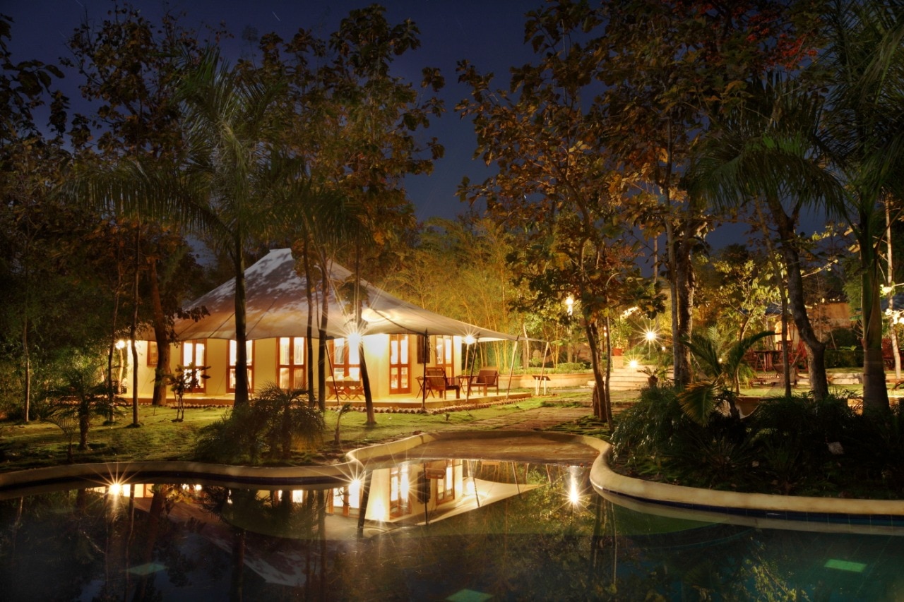 Tuli Tiger Resort - Tap to explore photos