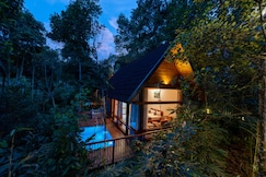 Calinz thekkady, Thekkady