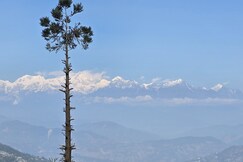 Om Dichenla Mystical Dawaipani, Darjeeling