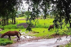 My favorite Corner, Mahabaleshwar
