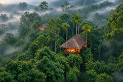 The Woods Resorts Wayanad, Bandipur National Park